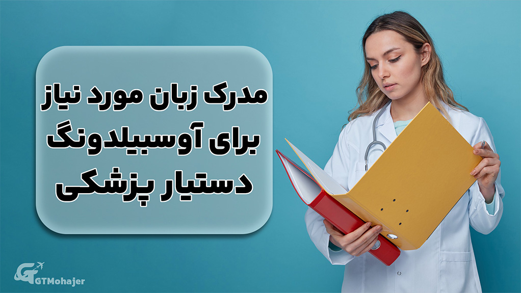 مدرک زبان مورد نیاز برای آوسبیلدونگ دستیار پزشکی