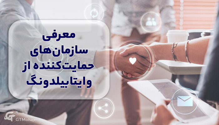 معرفی سازمان‌های حمایت‌کننده از وایتابیلدونگ